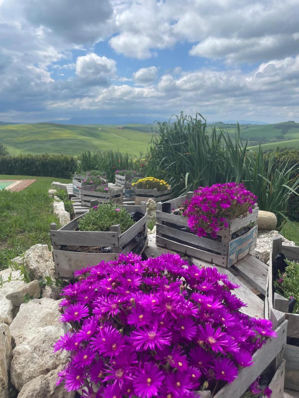 Agriturismo Bombina Villa Montisi Luaran gambar